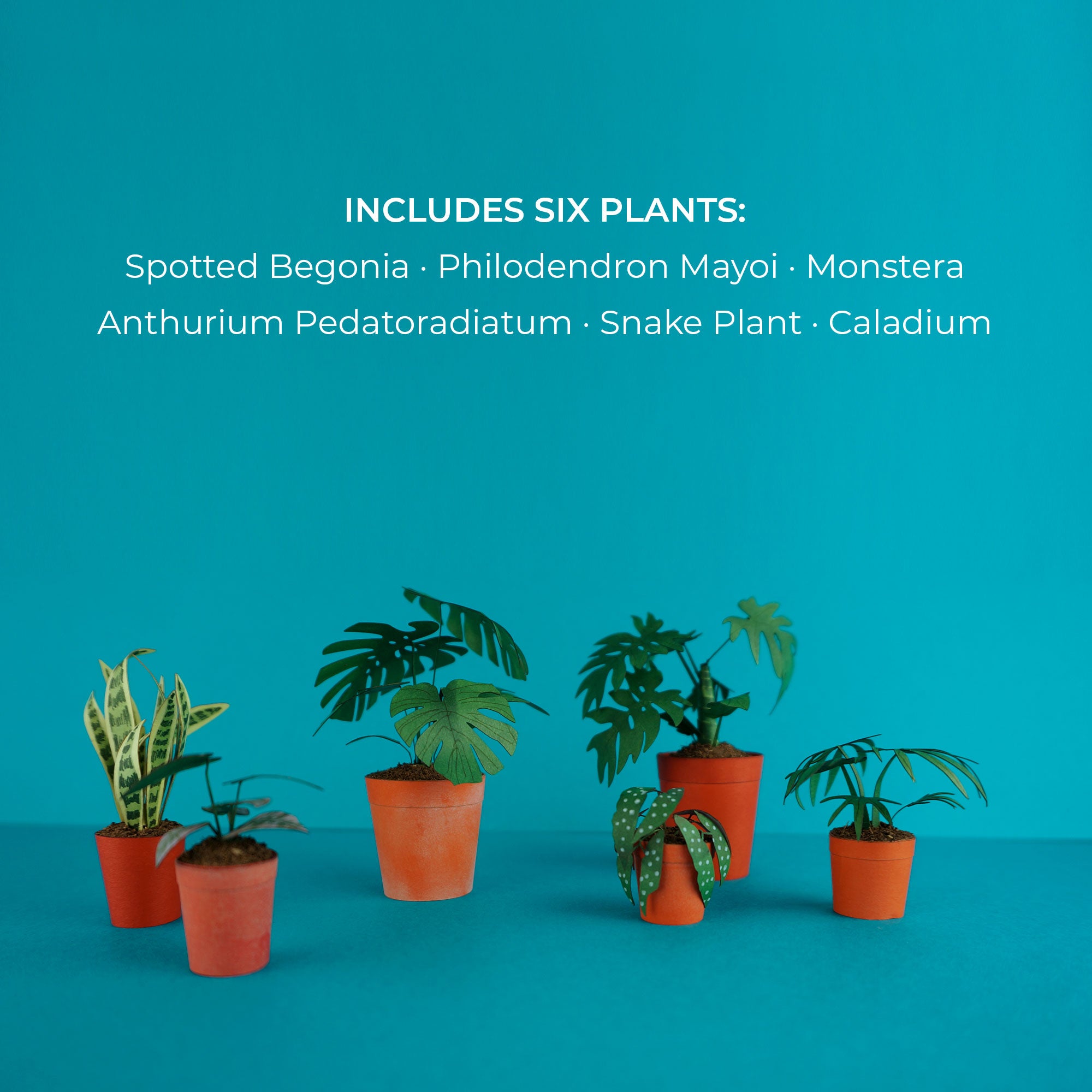 6+ Small Houseplant Miniature Paper Houseplant SVG Template, Makes 6 Tiny Potted Plants