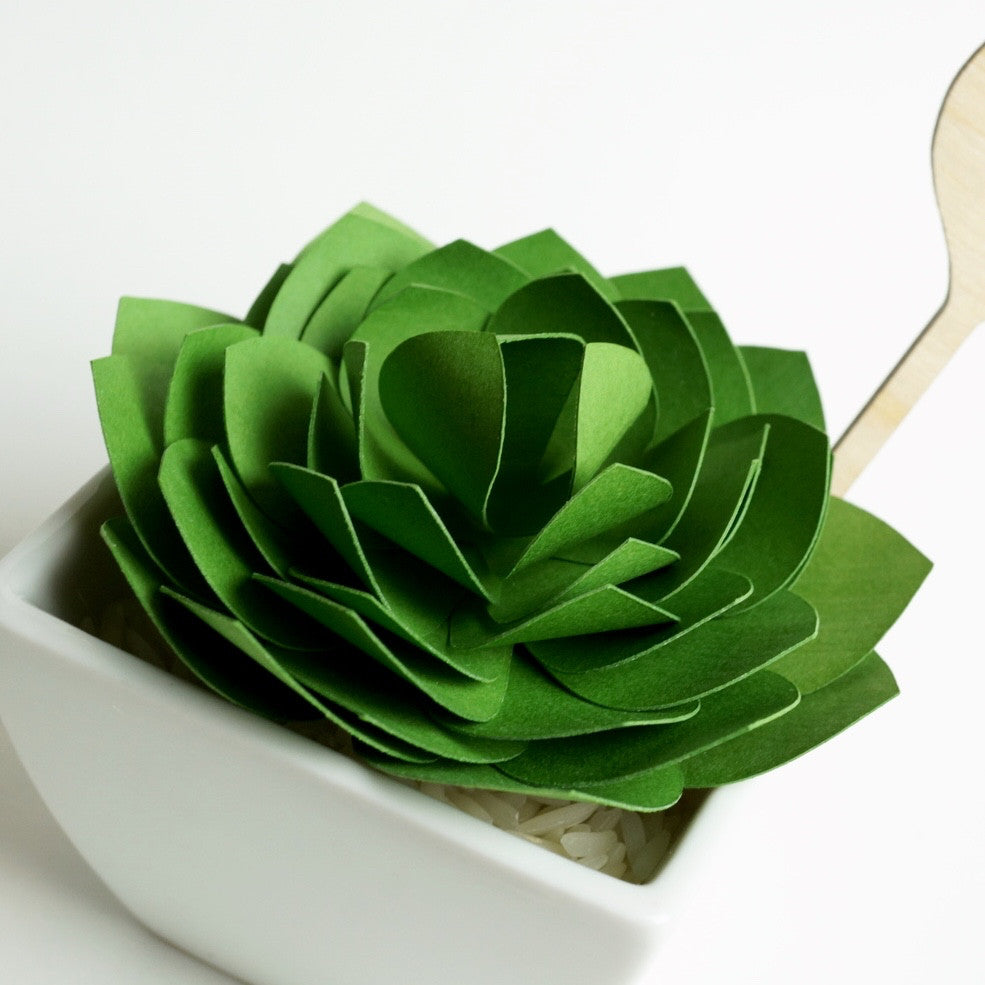succulent paper Paper Succulent Cutting File & Template