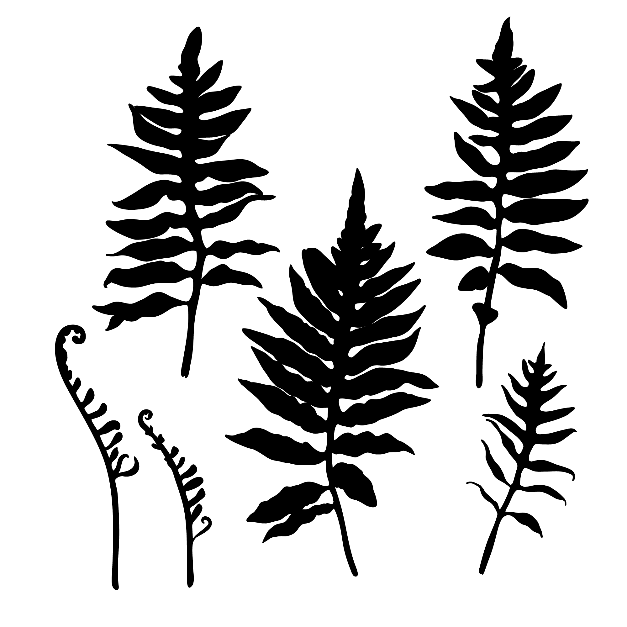 Fern Leaves 01 Template for Cricut and Silhouette Cutting Machines