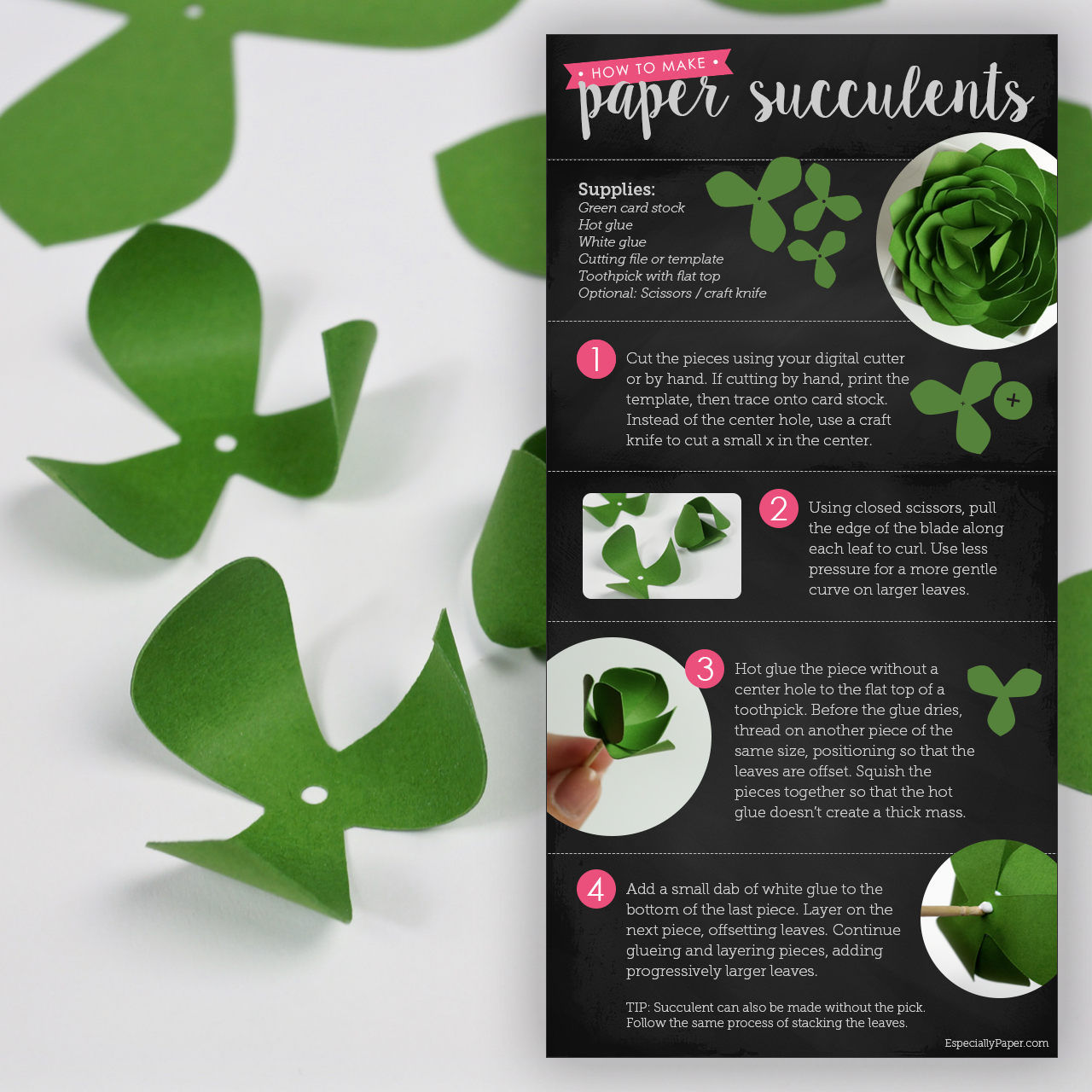 succulent wrap template Paper Succulent Cutting File & Template – Especially Paper